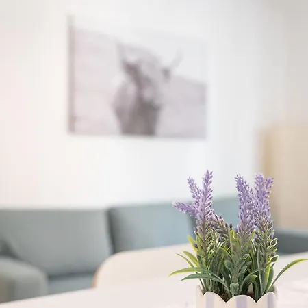 Pirkners Appartement *